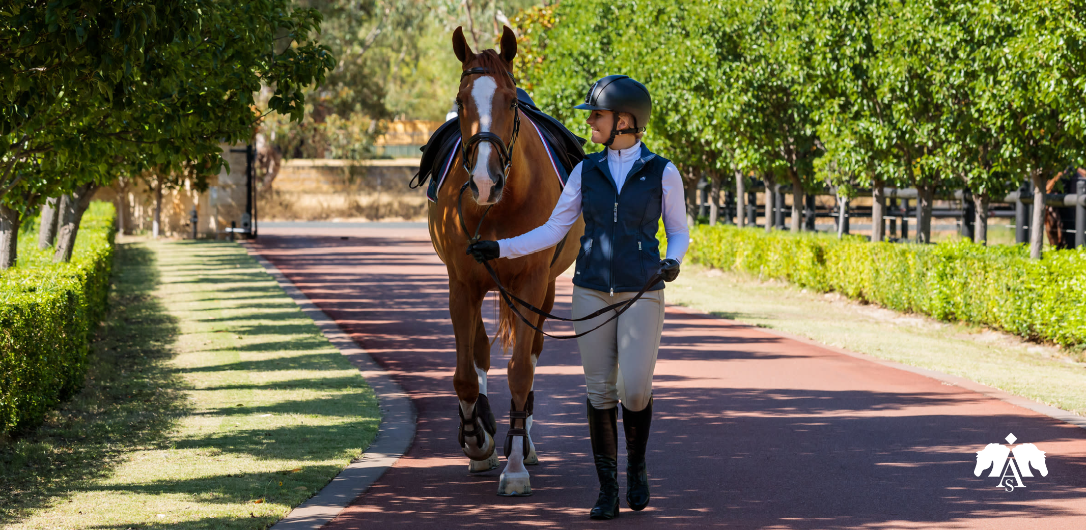Arena pony saddles: premium comfort for smaller equines